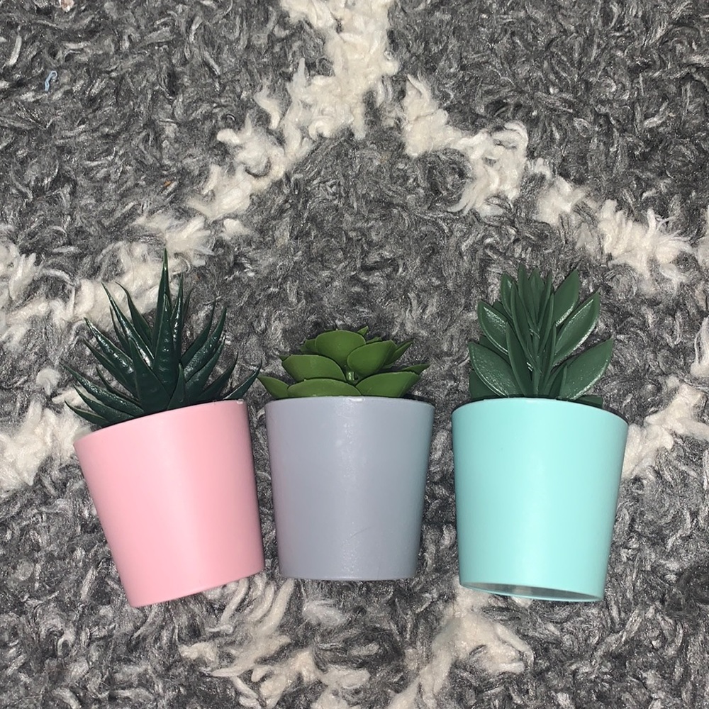 Decorative plants!🌸